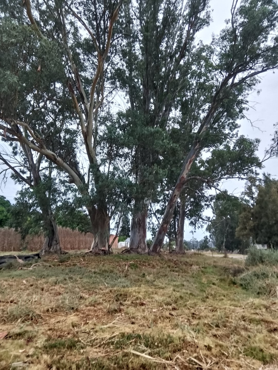 Bedroom Property for Sale in Redelinghuys Western Cape